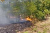 В Первомайском районе горело поле: подозревают поджог