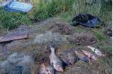 На Миколаївщині затримали браконьєра, який наловив риби майже на 30 тисяч