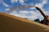 У Кабміні розповіли, чи вистачить Україні зерна нового врожаю