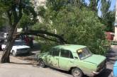 На дороге в центре Николаева упавшей веткой накрыло «Жигули» (ФОТО)
