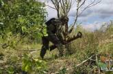 На Південнобузькому напрямку ворог намагається стримувати просування ЗСУ, - Генштаб