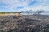 Обстрелы Николаевской области: горели поля, села остались без электричества