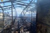 В Николаевской области сгорела ферма со свиньями (видео)