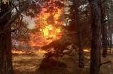 Под Николаевом горели гектары леса — тушили почти восемь часов