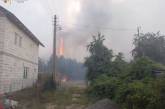 Обстрел Николаевской области: горели поля и лес