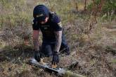 Пиротехники уничтожили реактивный снаряд и ракету, которыми обстреляли Николаевщину