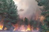 Гасіння масштабної пожежі в Андріївському лісі продовжується: залучили додаткові сили