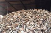 В Україні рекордними темпами заготовляють дрова