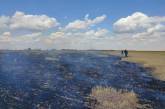 1,2 миллиарда гривен ущерба: в селе под Николаевом из-за обстрела выгорело поле пшеницы