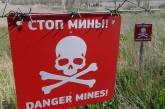 Лесная охрана подорвалась на мине в Житомирской области