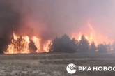 На Кинбурнской косе масштабно горит лес (видео) 