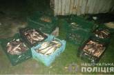 В Николаевской области словили браконьера: ущерб оценили в 1,5 миллиона гривен