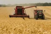 В Украине оценили потери урожая из-за оккупации территорий