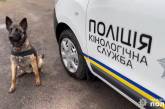 В Николаеве показали четерехлапых помощников полиции и рассказали об их умениях (видео)