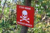 В Харьковской области 8 мирных жителей подорвались на минах