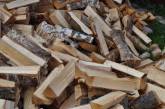 В Николаевской области жители прифронтовых сел смогут получить бесплатно дрова