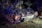 На Миколаївщині перекинувся Volkswagen: загинула пасажирка, ще 5 людей постраждали