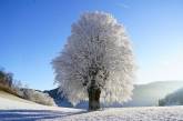 Зима в Украине будет не суровой, – Укргидрометцентр