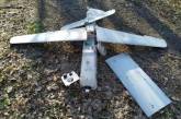 ЗСУ знищили два безпілотники типу «Орлан-10» над Миколаївською та Одеською областями