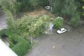 В Николаеве еще одно дерево рухнуло на киоск