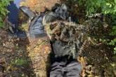 Вбили за допомогу ЗСУ: у Куп'янському районі Харківської області знайдено тіла мирних жителів