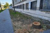 В Николаеве без актов на пешеходной аллее вырубили два десятка живых деревьев, - соцсети