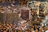 В Украине заработал государственный интернет-магазин по продаже дров для населения