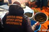 Жительница Николаевской области хранила дома коноплю – ей грозит до 3 лет тюрьмы
