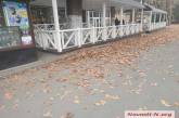 Головна вулиця Миколаєва завалена опалим листям — його ніхто не прибирає