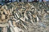 З понеділка мешканці Миколаївської області можуть безкоштовно отримати дрова: куди звертатися