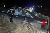 На Миколаївщині Audi зіткнувся з КРАЗом: загинула родина з 4-місячною дитиною