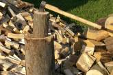 На дрова для жителей Николаевской области государство выделило около 56 миллионов