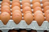 В Україні стабілізують ціни на курячі яйця