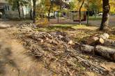 У Миколаєві невідомі пиляють дерева у дворах і тут же пропонують мешканцям купити дрова (фото)