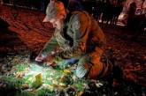 На детской площадке в Ровно прогремел взрыв: есть пострадавшие, в том числе ребенок