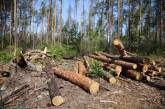 Жители Николаевской области первые в Украине начали получать бесплатные дрова
