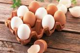 Оптовые цены на яйца упали на 10%, - Минагрополитики