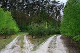 В Украине появится атлас лесных автомобильных дорог