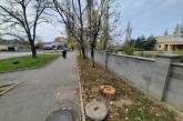 Незаконная лесозаготовка? Возле школы в Николаеве спилили живые деревья