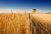 Аграрии Николаевской области первыми в Украине закончили сбор урожая   