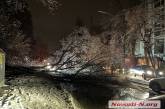 В Киеве упавшее дерево перекрыло движение по ул. Ломоносова (видео)