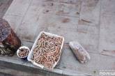 На Миколаївщині мешканка знайшла у себе вдома коробки з патронами окупантів