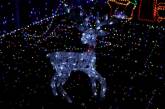 На Буковине запретили новогоднюю иллюминацию
