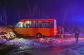 На Черниговщине в ДТП пострадали семь пассажиров автобуса