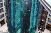 В Берлине лопнул самый большой аквариум в мире — погибло 1 500 рыб (видео)