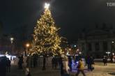 Во Львове «зажгли» новогоднюю елку (фото)