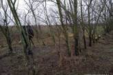 В Николаевской области на территории ландшафтного парка задержали «черных лесорубов»