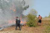 Пожар в Калиновке тушили всем селом. Спасли 20 га хвойного леса