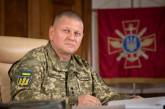 Залужный обратился к украинцам: Мы не выбирали войну, но приняли бой