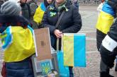 Миколаївці на мітингу у Німеччині святкували День Соборності та вимагали «Леопарди» (фото)